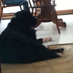 Meet your Posher, Todd